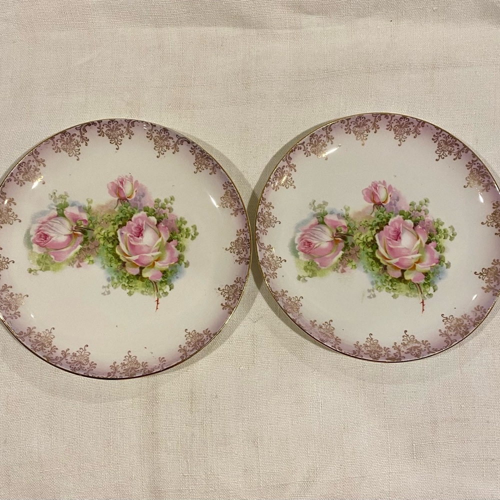 Vintage Imperial China - ornate pink and green rose pattern plates  - Set of 2